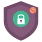 Website SEO Protection